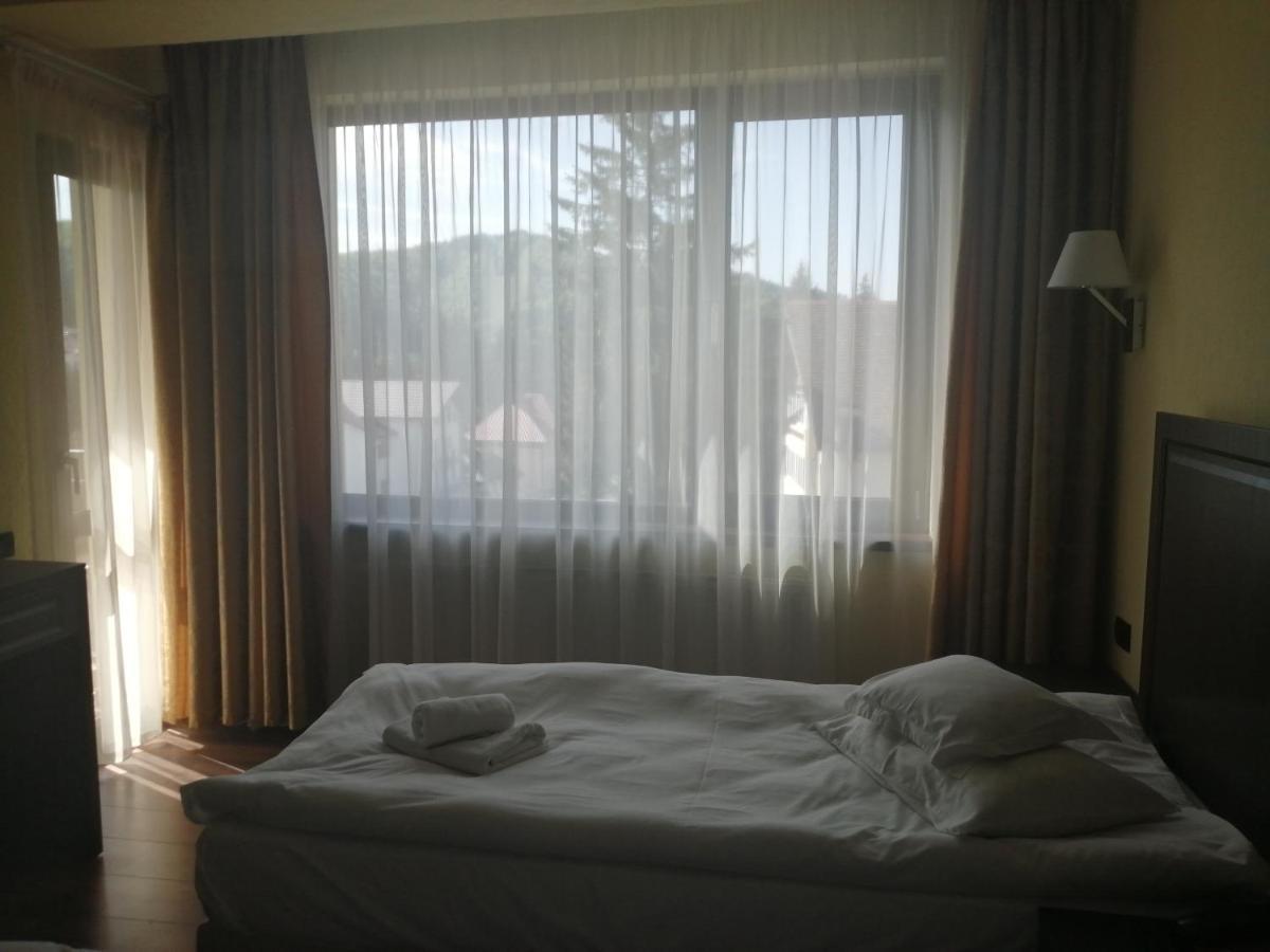 Hotel Piemonte Predeal Exterior foto